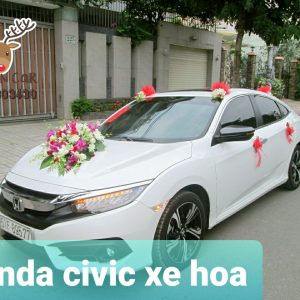 Xe hoa Honda Civic