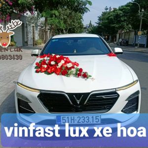 Vinfast Lux Xe Hoa