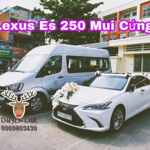 xe hoa Lexus ES 250 Mui Cứng