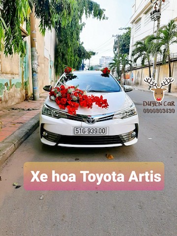 artis 3