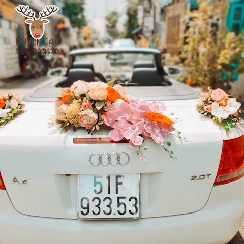 audi a4 mui tran hinh chinh 2