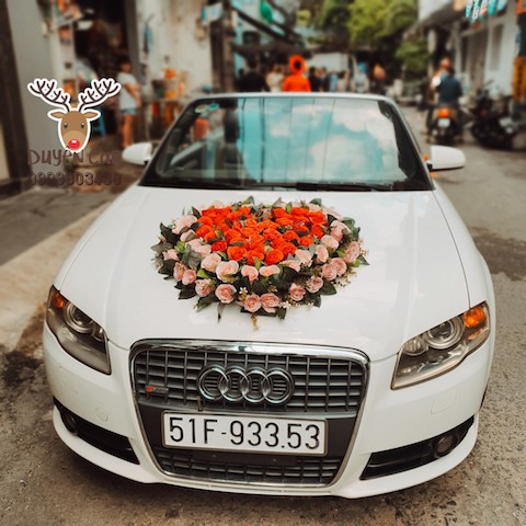 audi a4 mui tran hinh chinh 6