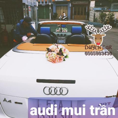 audi mui tran phia sau