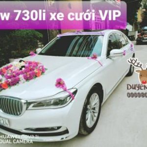 xe hoa BMW 730 Li 2019 VIP