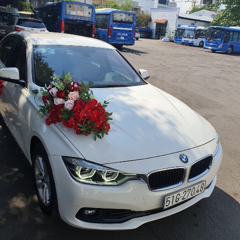 bmw 5