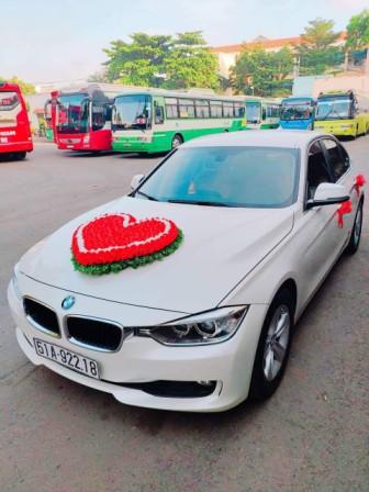 bmw 6