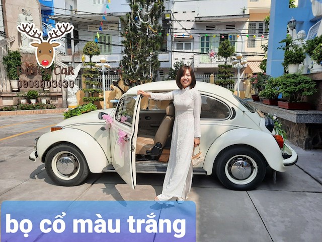 bo co trang 2 2