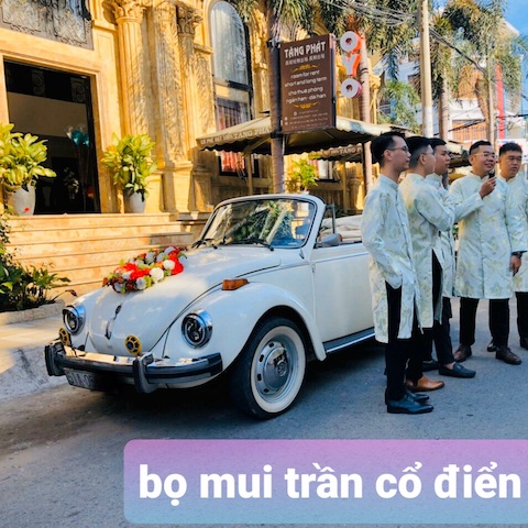 bo mui tran trang 2