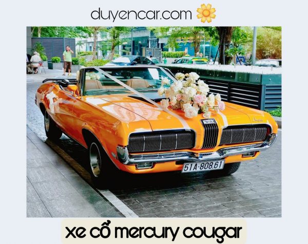 Xe Hoa Cổ Điển Mercury Cougar Mui Trần