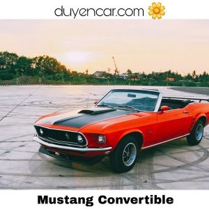 Xe Hoa Cổ Điển Mustang Mui Trần Đỏ