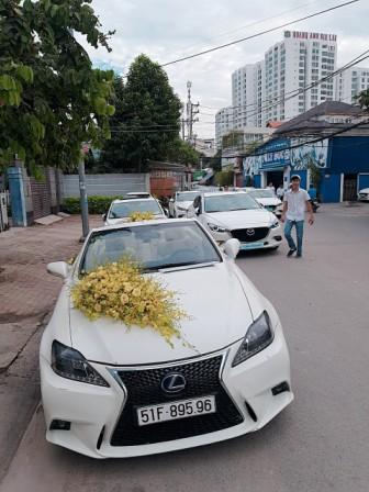 lexus madza hinh 1