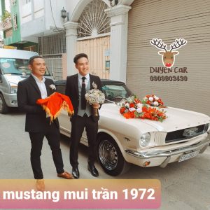 xe hoa mustang mui trần 1972