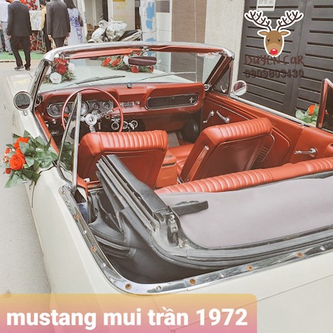 mustang mui tran 1972 hinh 1