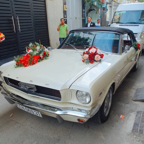 mustang mui tran 1972 hinh 3