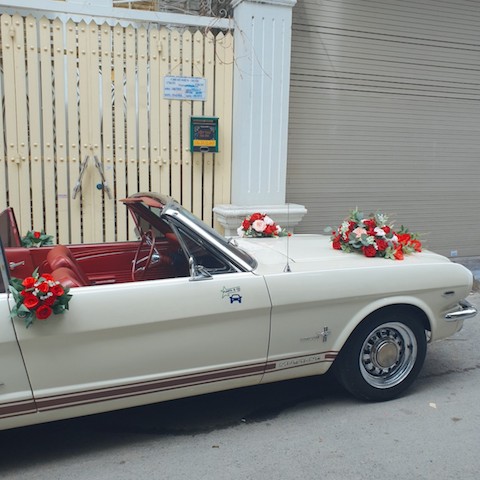 mustang mui tran 1972 hinh 4