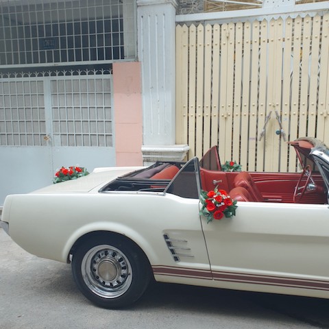 mustang mui tran 1972 hinh 5