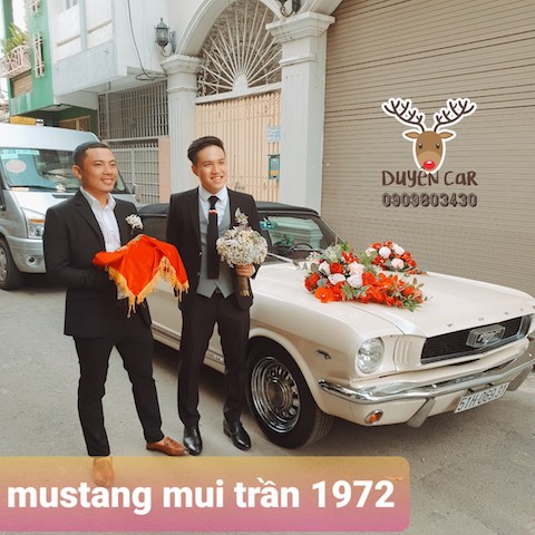 mustang mui tran 1972 hinh 6