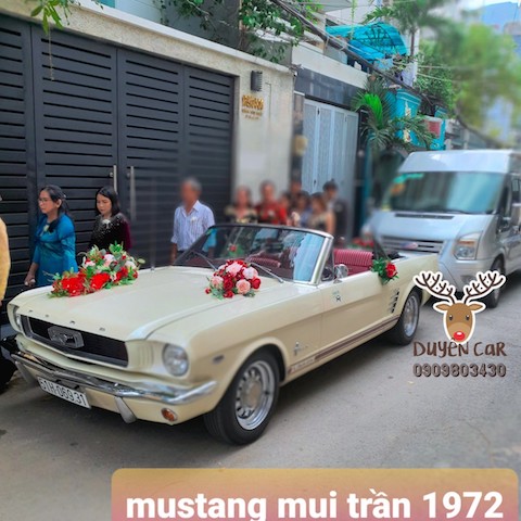 mustang mui tran 1972 hinh 7