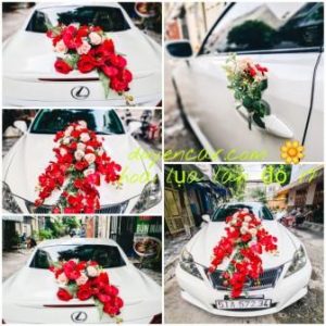 Thuê hoa lan lụa trang trí xe hoa lexus trắng