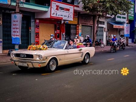 xe hoa co dien mustang mui tran 10