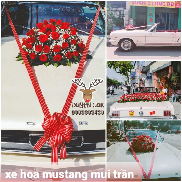 Xe Hoa Rước Dâu Cổ Điển - Mustang Mui Trần 0909803430