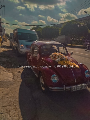 xe cuoi kieu co ien con bo volkswagen 1