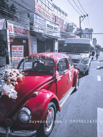 xe cuoi kieu co ien con bo volkswagen 2