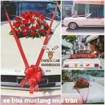 xe hoa c in mustang mui trn 1 1