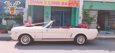 xe hoa c in mustang mui trn 2 1