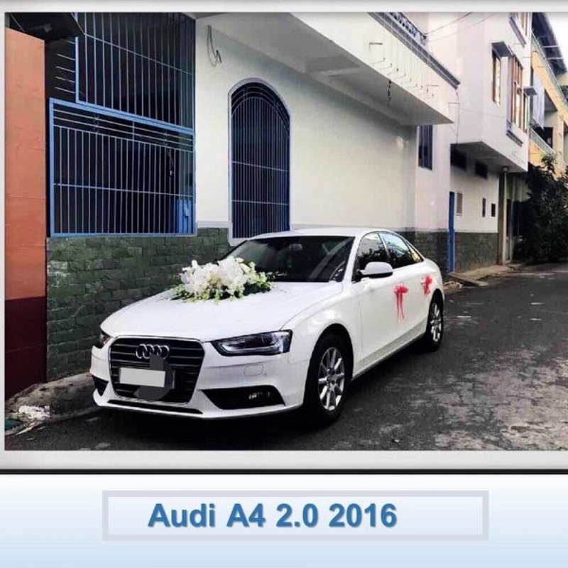 Chon xe cưới audi