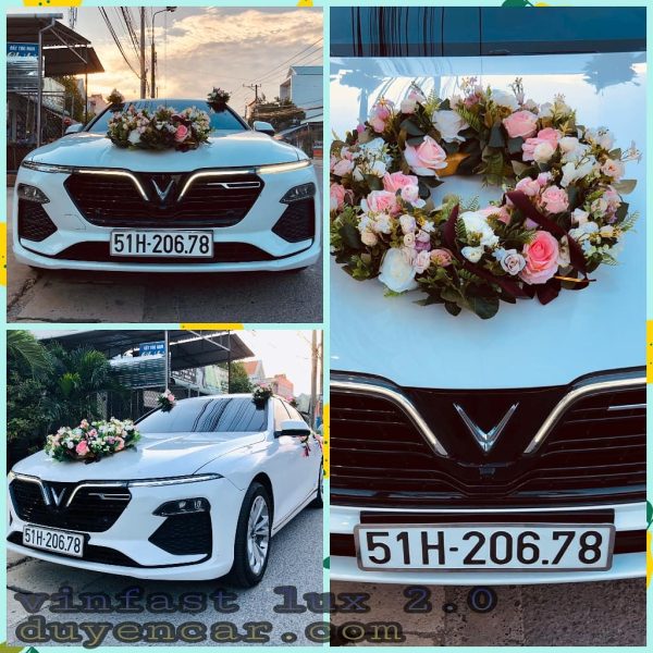 vinfast hinh chinh 1593961877