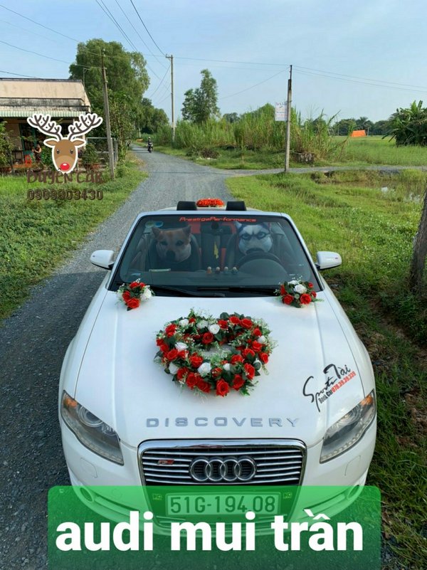 Xe cưới Audi 