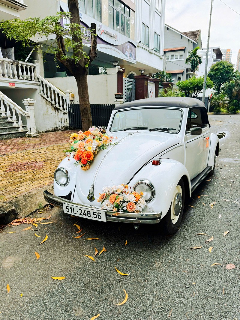 Thuê xe cưới bọ mui trần 26-10 17 thue xe cuoi bo mui tran 26 10 1