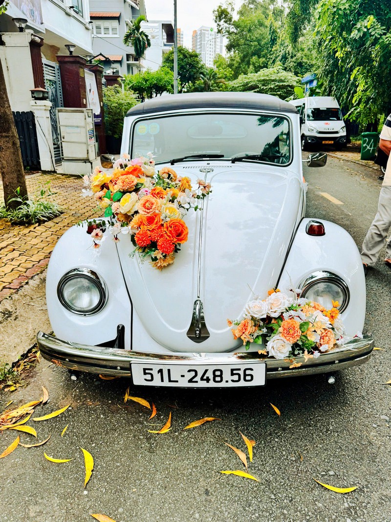 Thuê xe cưới bọ mui trần 26-10 14 thue xe cuoi bo mui tran 26 10 7