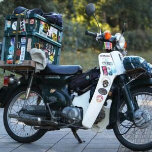 thue xe cub trung bay 6